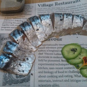 10809529_383522918478163_270965139_n